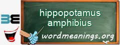WordMeaning blackboard for hippopotamus amphibius